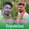 About Holi Hunivyag Hoyakolen Song